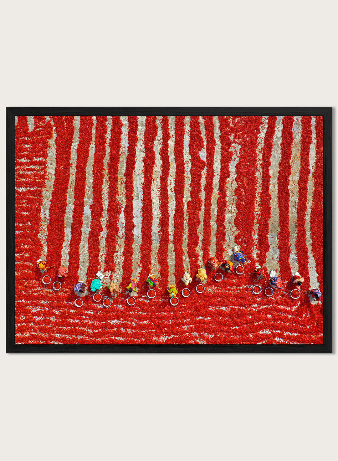 Drying Red Chilies by Azim Khan Ronnie aerial photography print showing chilli fields in Bangladesh with workers, cultural documentary wall art poster