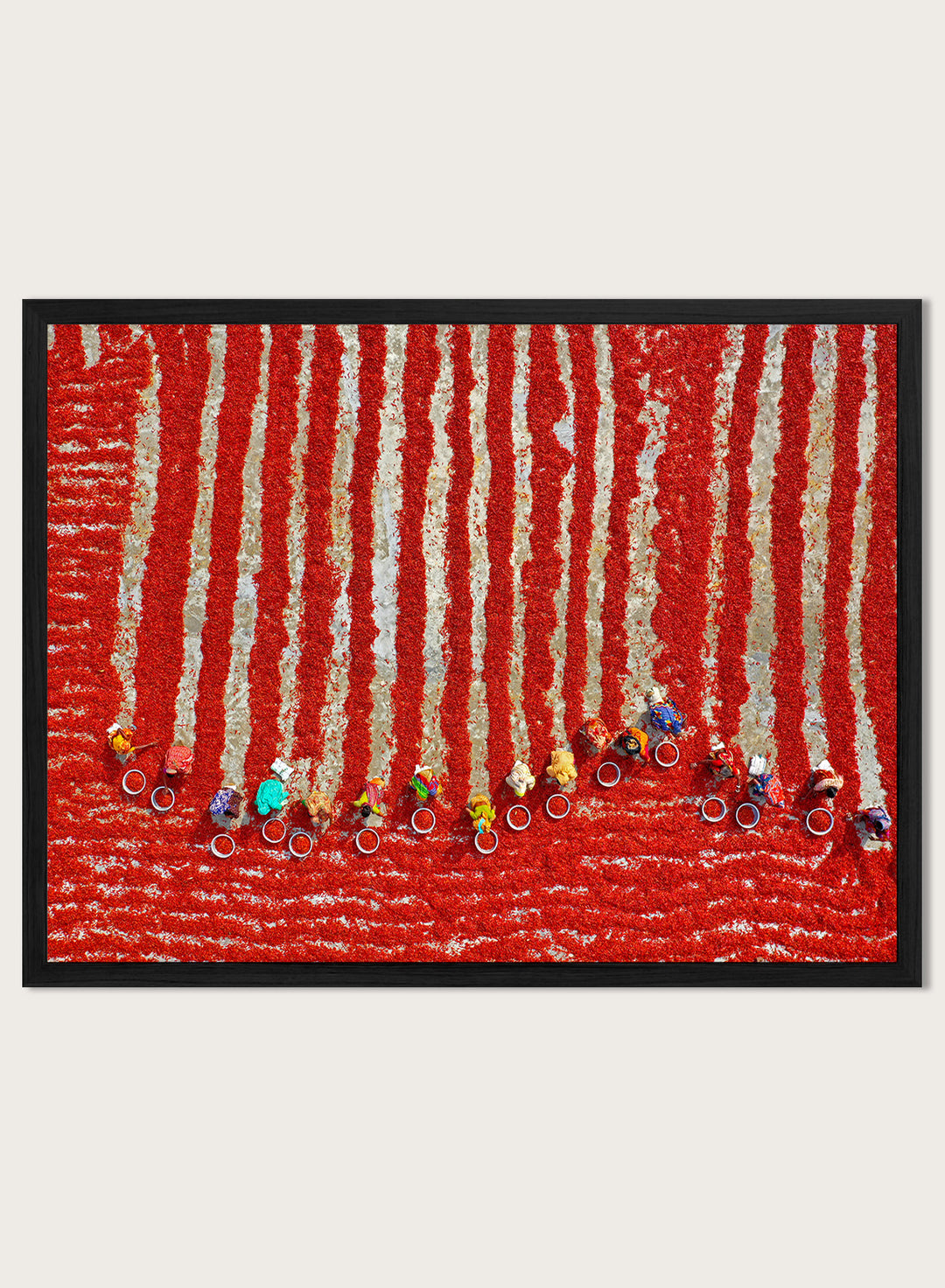 Drying Red Chilies by Azim Khan Ronnie aerial photography print showing chilli fields in Bangladesh with workers, cultural documentary wall art poster