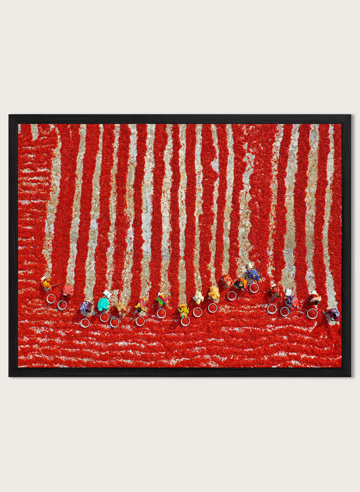 Drying Red Chilies by Azim Khan Ronnie aerial photography print showing chilli fields in Bangladesh with workers, cultural documentary wall art poster