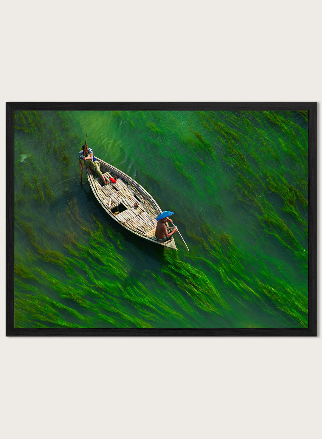 Sailing Through Green Veins by Azim Khan Ronnie aerial photography print showing boat over green aquatic plants river, nature wall art poster