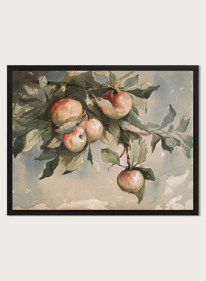 "Study of Apples" Art Print