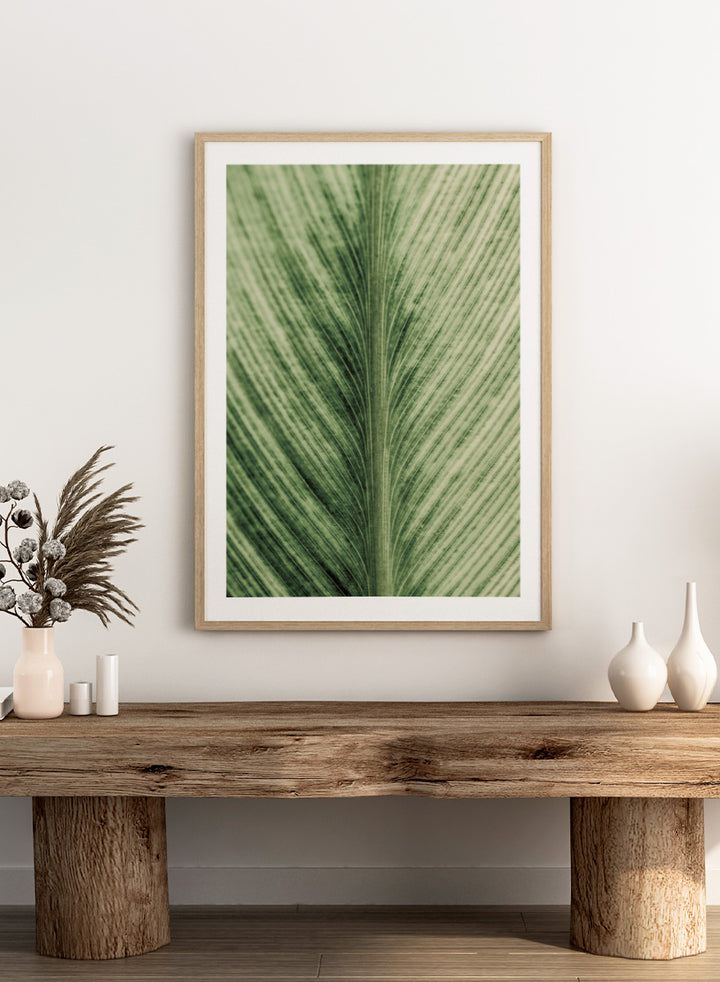 A framed botanical art print featuring a close-up photograph of a green leaf with prominent veins. Verdant Veins by Shot by Clint botanical photography print featuring detailed green leaf veins, natural texture, and layered organic pattern.