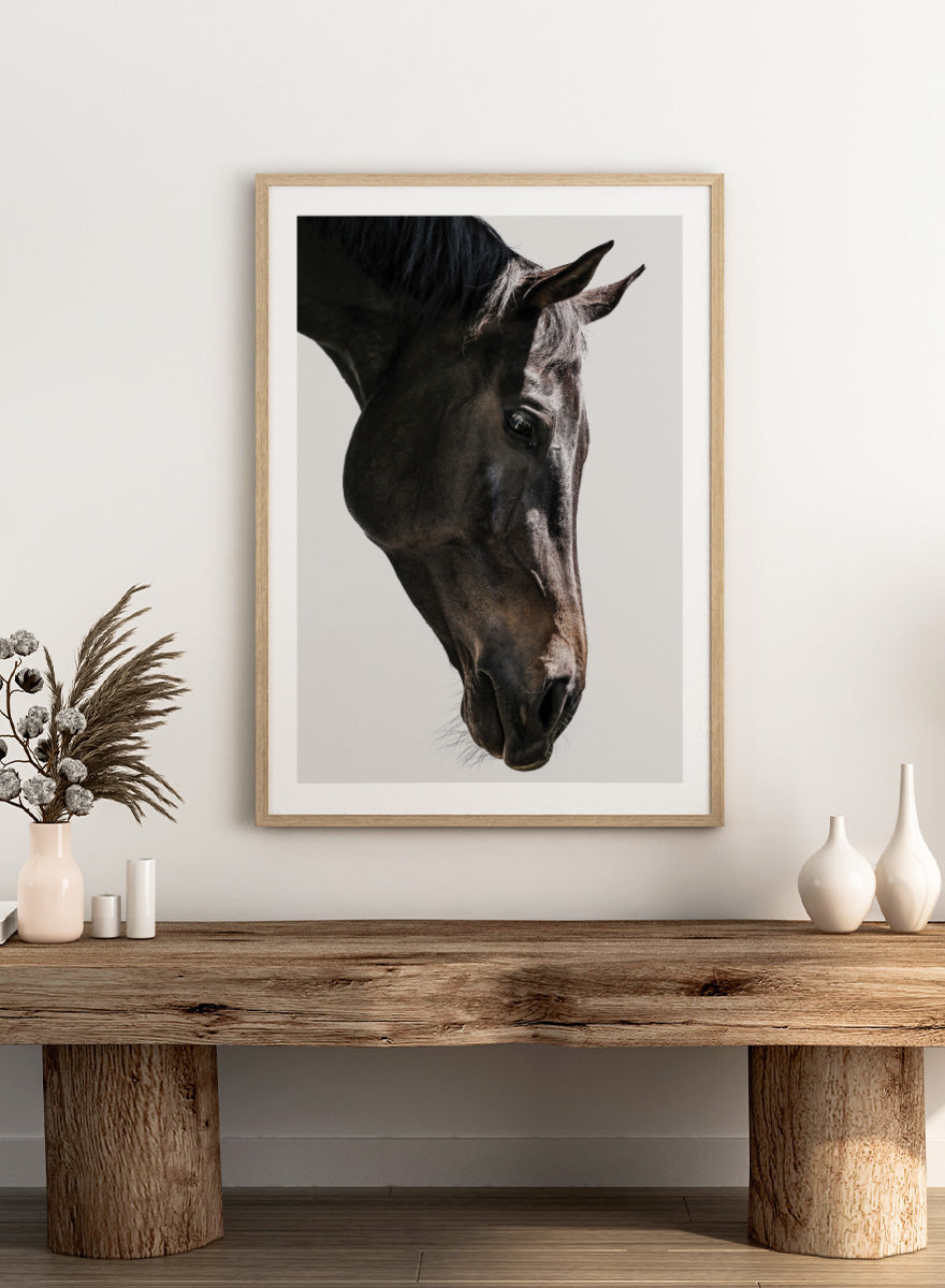 A framed photographic art print featuring a close-up portrait of a dark horse&