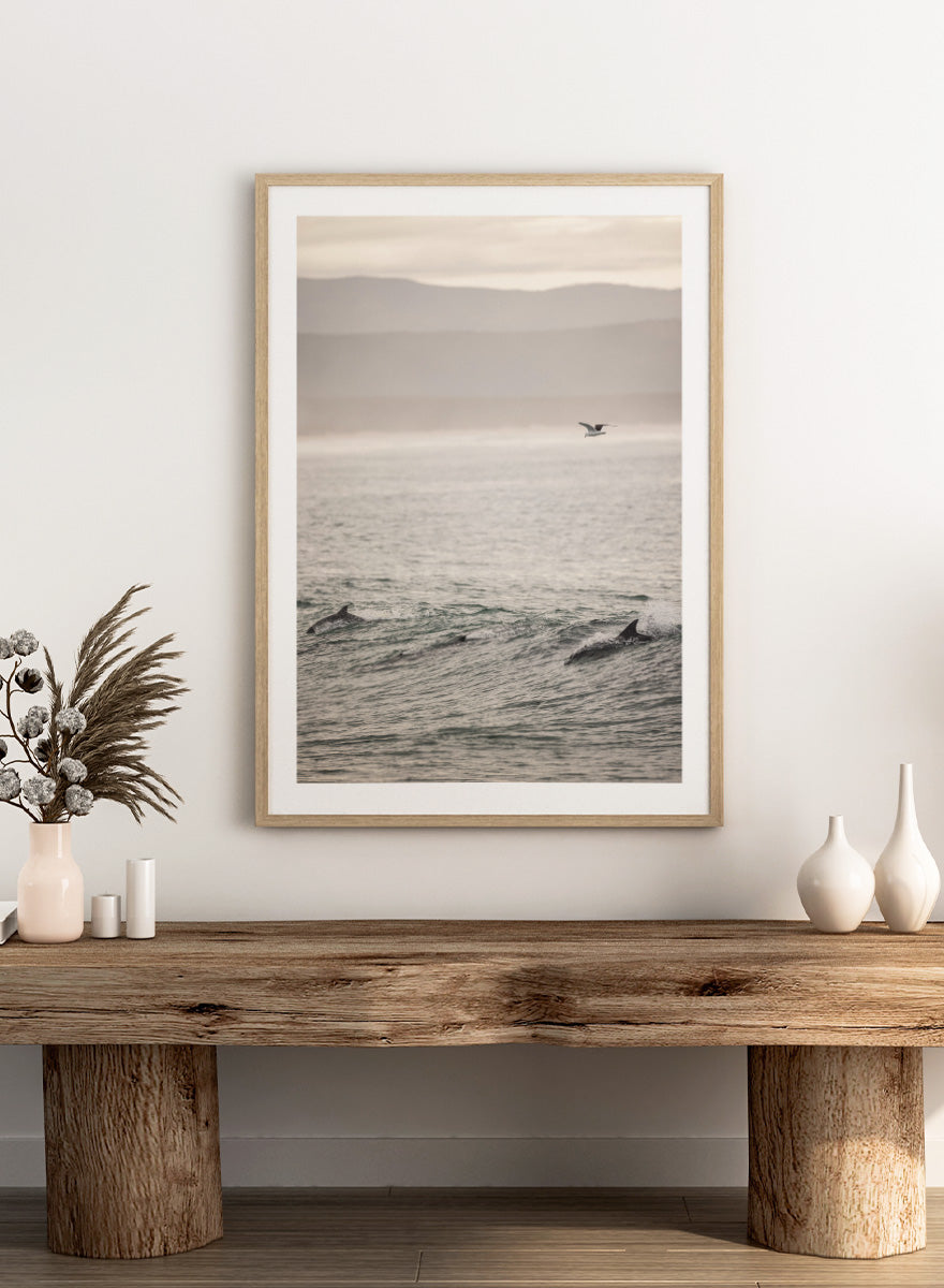 A framed photographic art print depicting dolphins swimming in a misty ocean with a bird flying in the distance. Ocean’s Dance by Shot by Clint ocean photography print featuring dolphins, rolling waves, a flying bird, and hazy coastal hills.