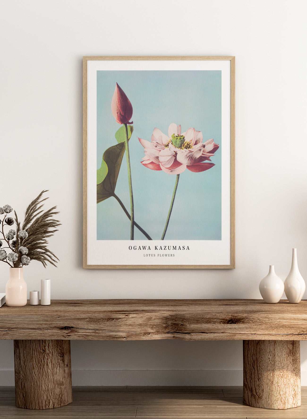 lotus ※プロフィールご覧ください ページ Ogawa Kazumasa Lotus Flowers Vintage Japanese Photograph Botanical
