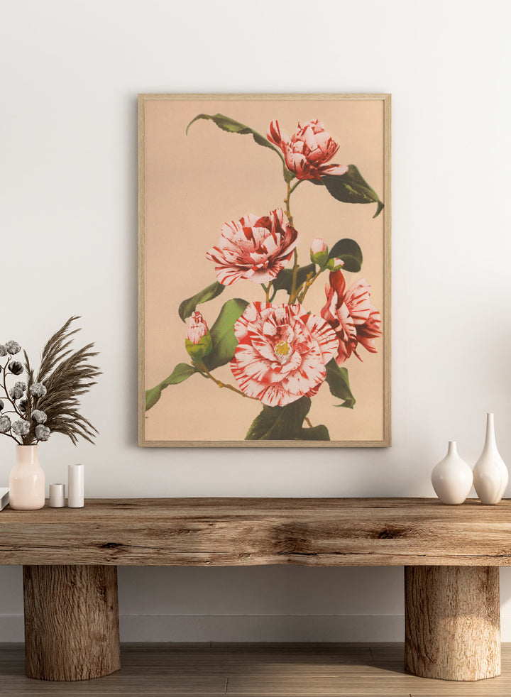 Ogawa Kazumasa Red Striped Camellias Flowers Japanese Art Print OK06B