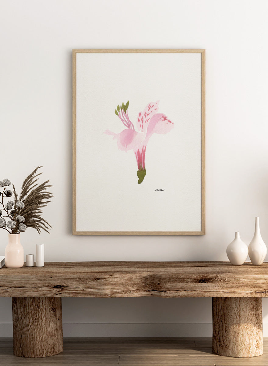 Shop Soft Pink Alstroemeria flower by NKTN, a botanical wall art print poster featuring a single pink alstroemeria flower in a delicate watercolor style.