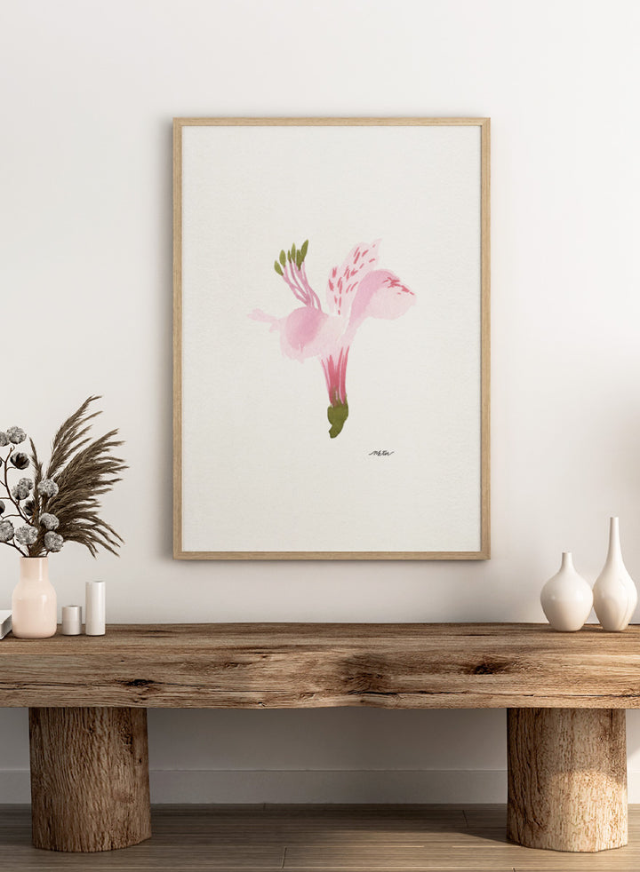 Shop Soft Pink Alstroemeria flower by NKTN, a botanical wall art print poster featuring a single pink alstroemeria flower in a delicate watercolor style.