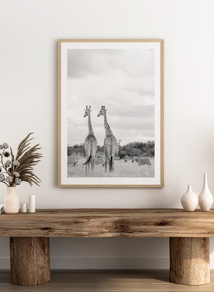 Black and white photographic art print depicting two giraffes in a savanna landscape with zebras and trees under a cloudy sky. Super Safari by Shot by Clint black-and-white wildlife photography print featuring two giraffes standing among zebras in the South African grasslands.