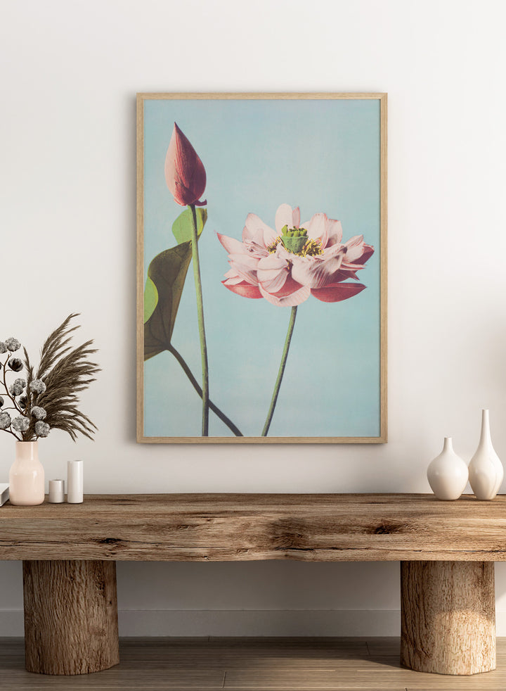 Ogawa Kazumasa Lotus Flowers Japanese Art Print OK01B