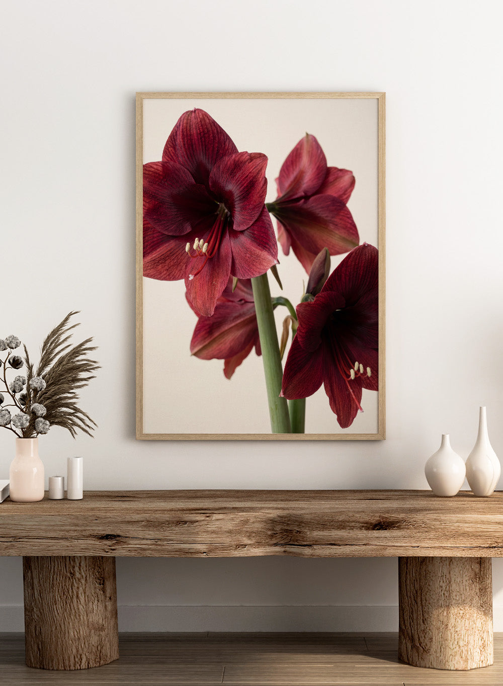 Close-up of dark red amaryllis flowers on a beige background. Red Amaryllis by Andreas Magnusson is a floral photography art print featuring bold red amaryllis flowers, modern botanical wall art style, and officially licensed artwork.