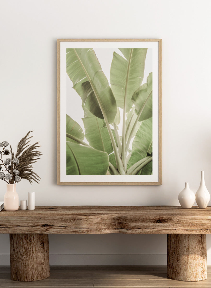 A framed botanical art print featuring large green banana leaves against a bright white background. Verdant Leafscape by Shot by Clint botanical photography print featuring layered banana leaves, pale green tones, natural texture, and bright tropical light.