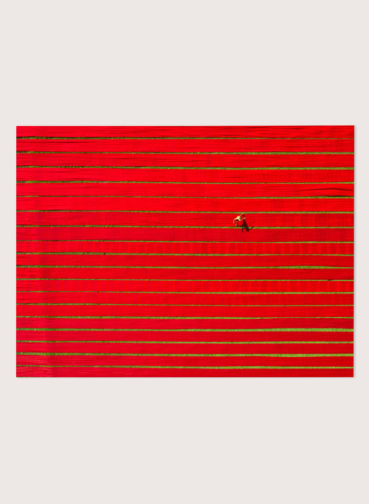Drying Colorful Cloth by Azim Khan Ronnie aerial photography print showing red textile fabric drying in Bangladesh fields, cultural wall art poster