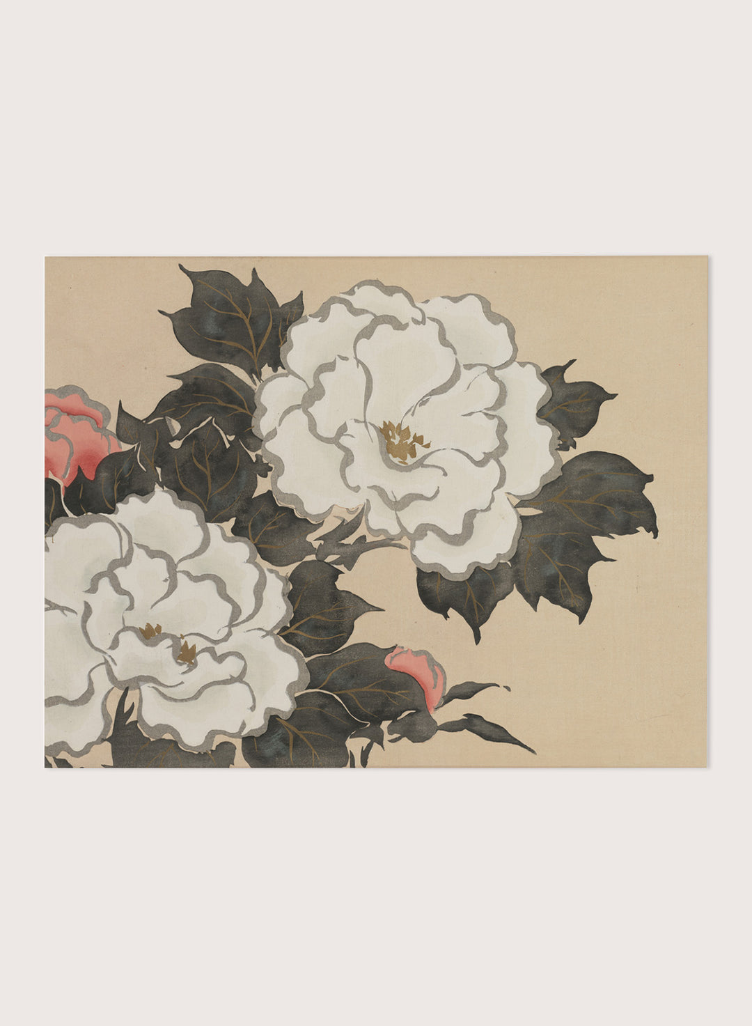 Kamisaka Sekka "Peonies" Art Print