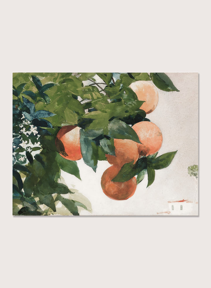"Oranges on a Branch" Art Print