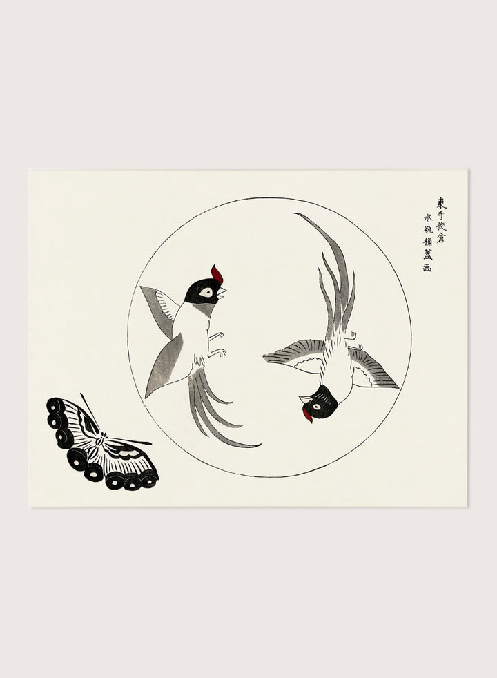Birds and Butterfly by Taguchi Tomoki is a vintage Japanese woodblock art print featuring two long-tailed birds, a butterfly, and original Japanese detailing.