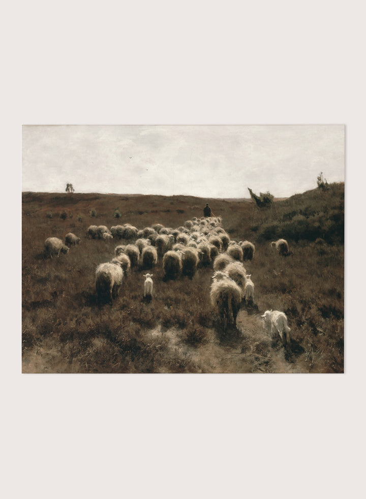 "The Return of the Flock, Laren" Art Print