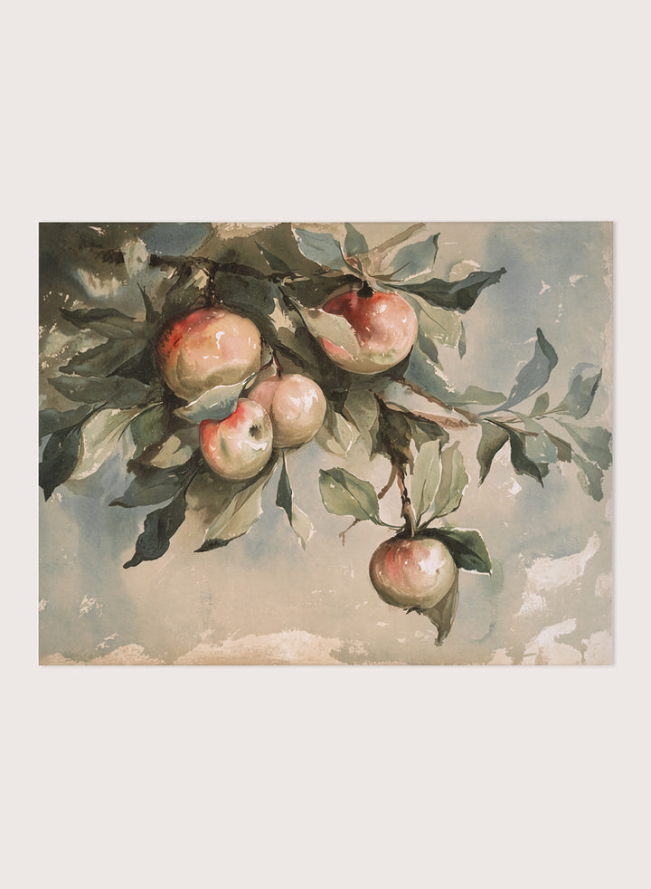 "Study of Apples" Art Print