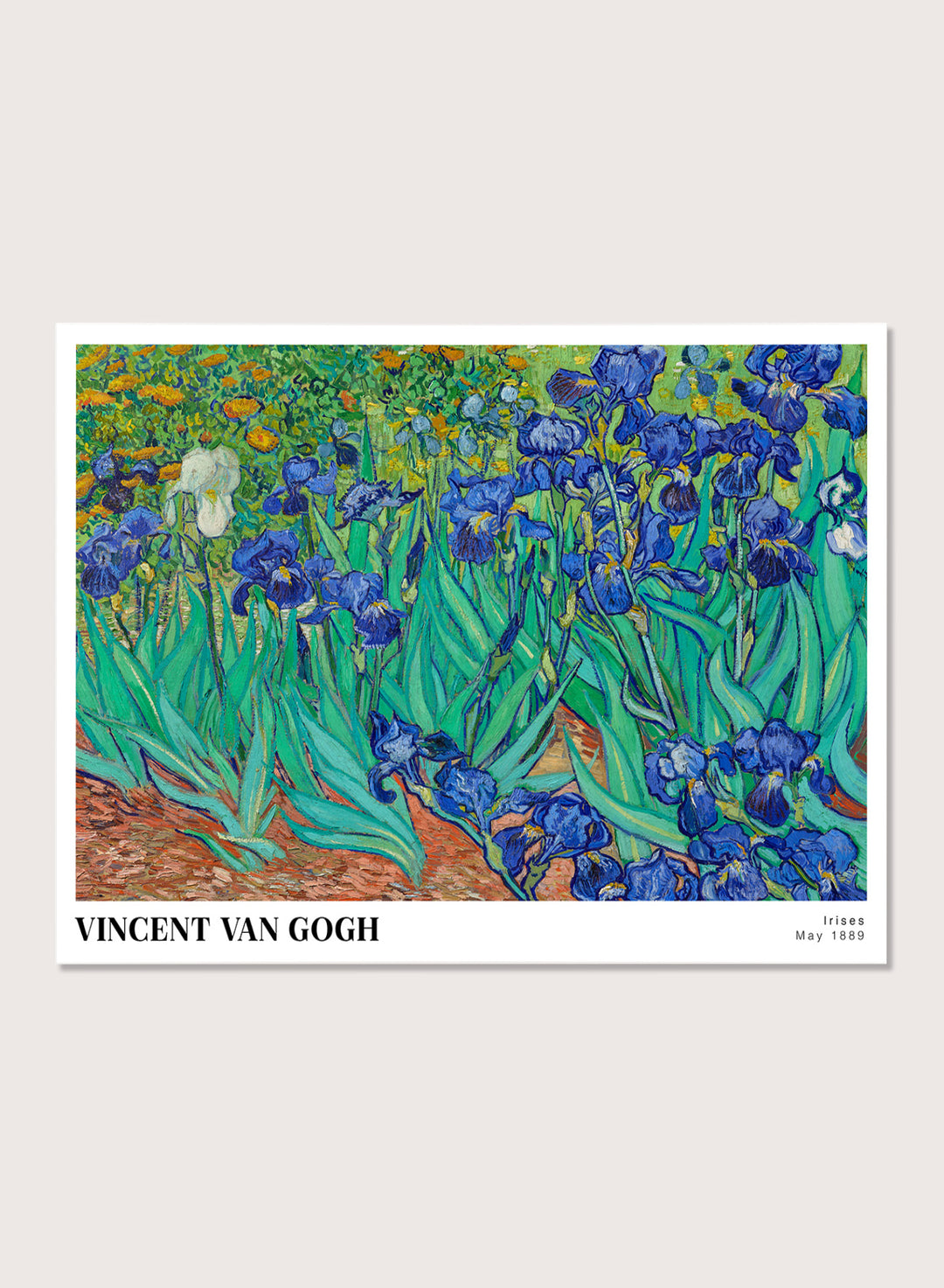 Van Gogh Irises 1889 Art Print