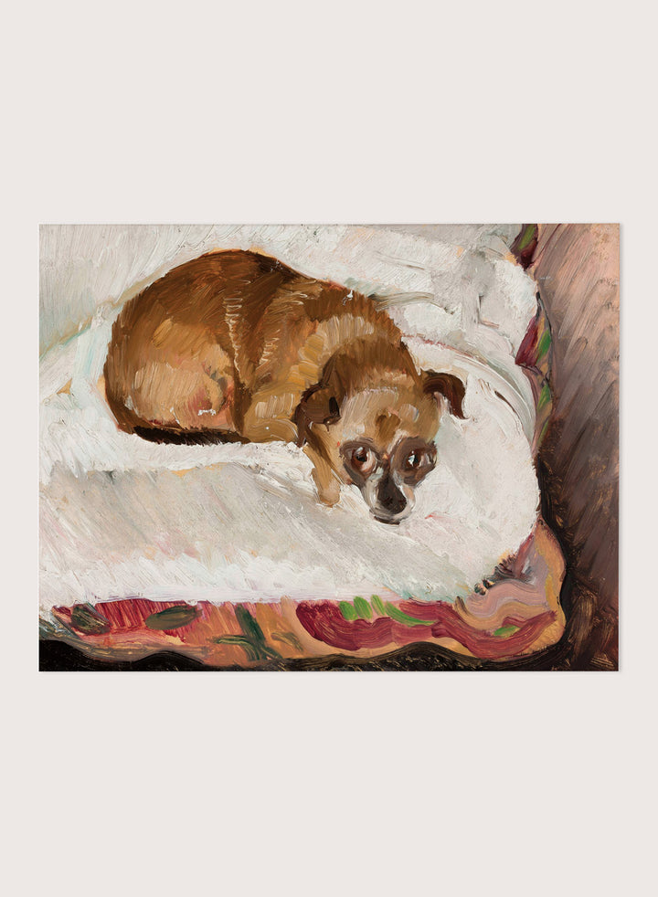 "Lying Dog" Art Print