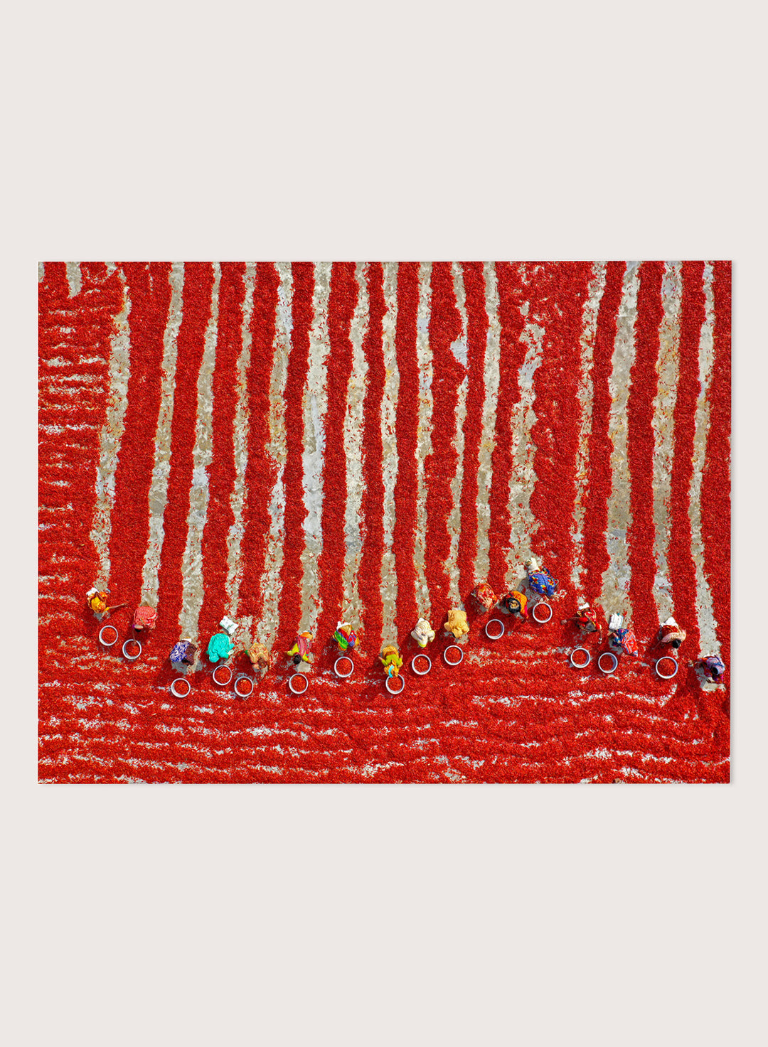 Drying Red Chilies by Azim Khan Ronnie aerial photography print showing chilli fields in Bangladesh with workers, cultural documentary wall art poster