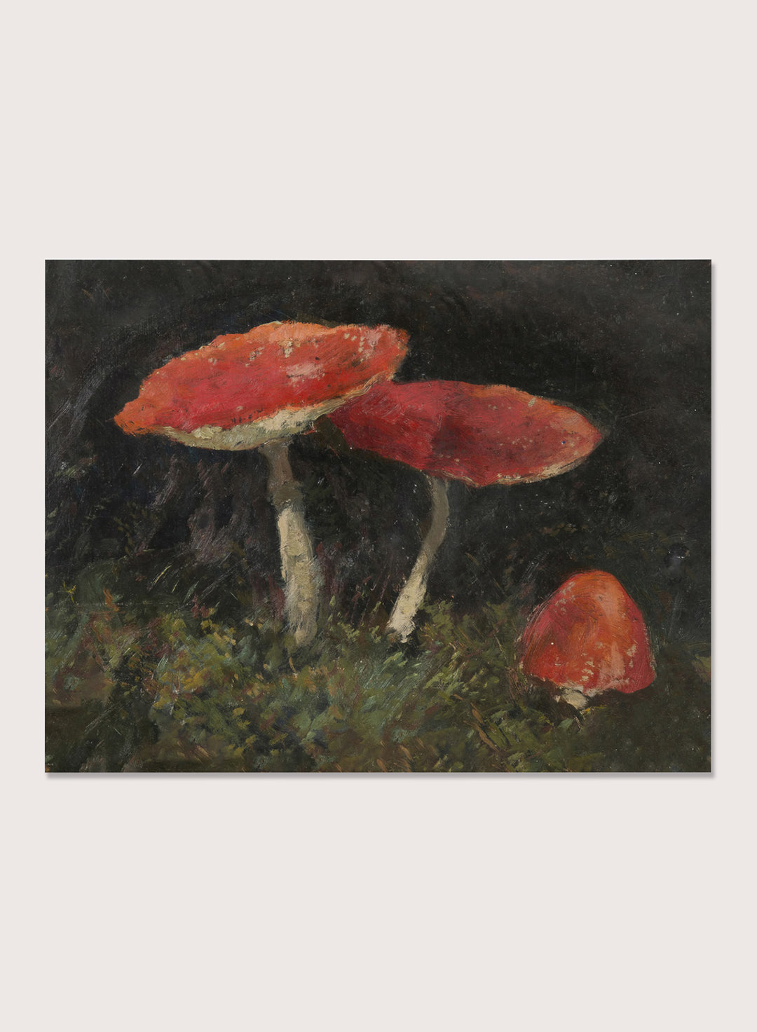 Amanitas by Gustav Macoun is a vintage still life print of red mushrooms in dark forest moss, a woodland nature print great for a rustic wall art collection.