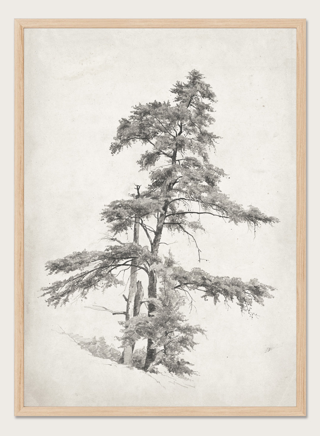 "Trees, West Virginia" Sketch Art Print
