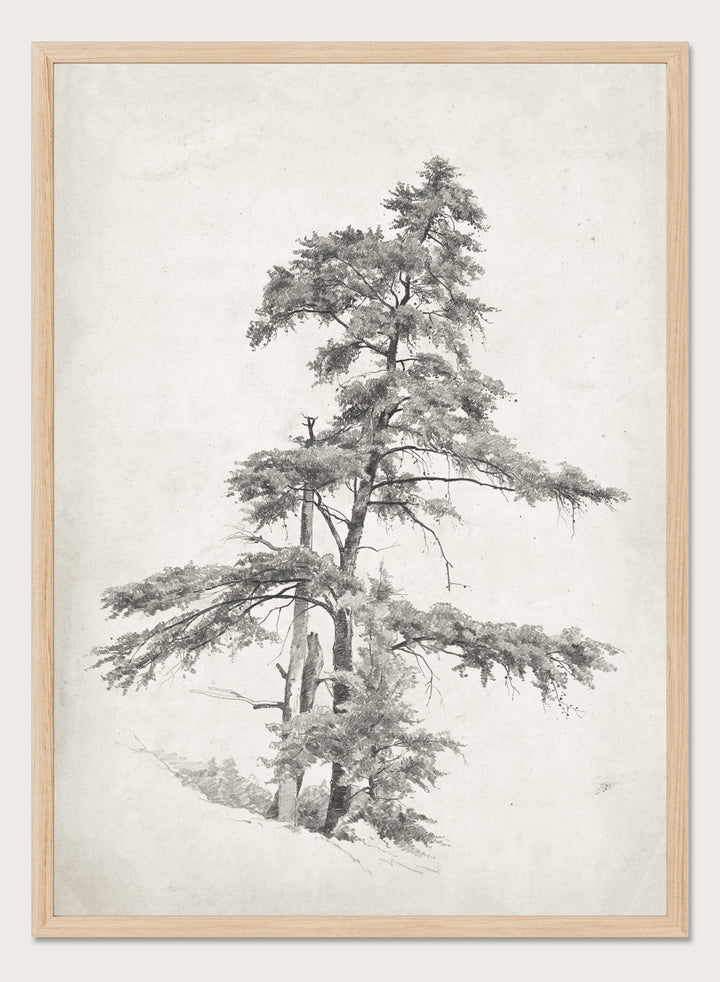 "Trees, West Virginia" Sketch Art Print
