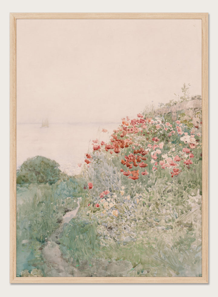 "Field of Poppies, Isles of Shoals" Art Print