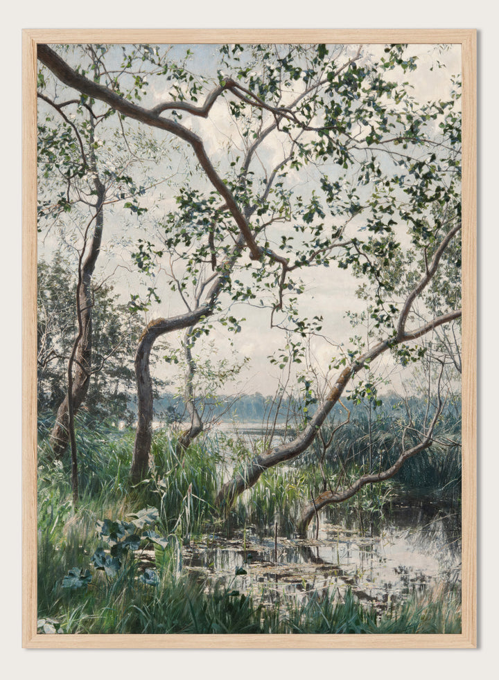 "Water Vegetation, Motif from Östergötland" Art Print