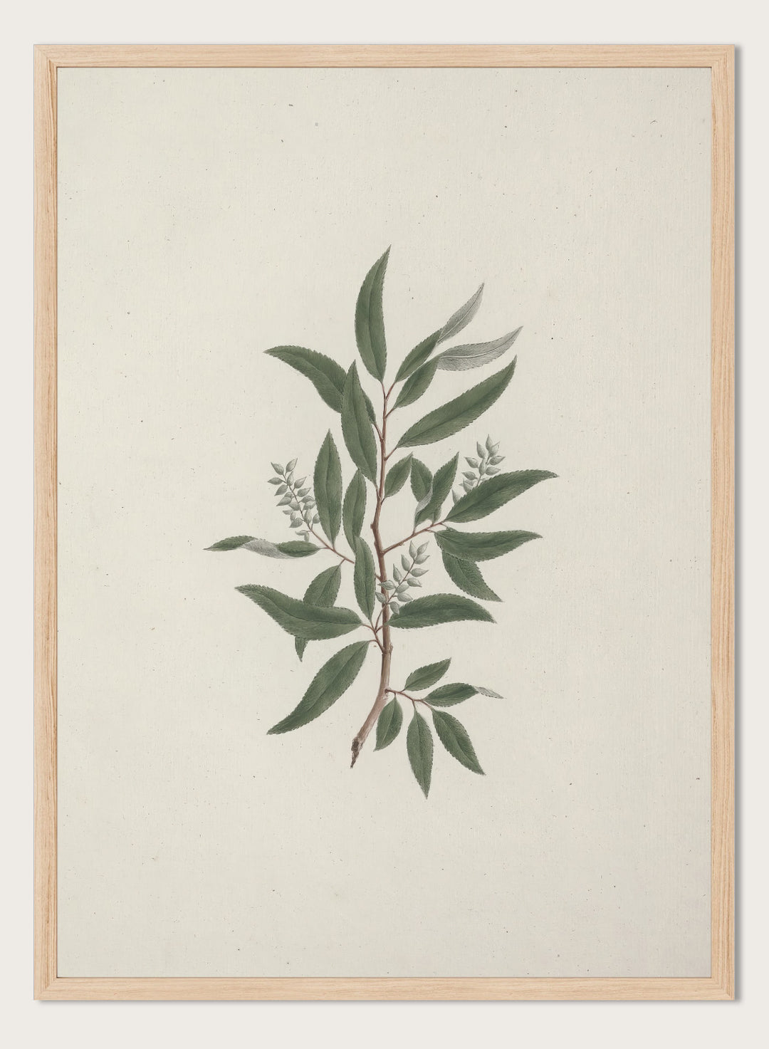 "Willow Tree" Art Print