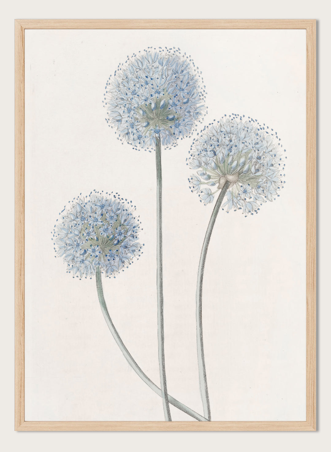 "Blue Leek" Art Print
