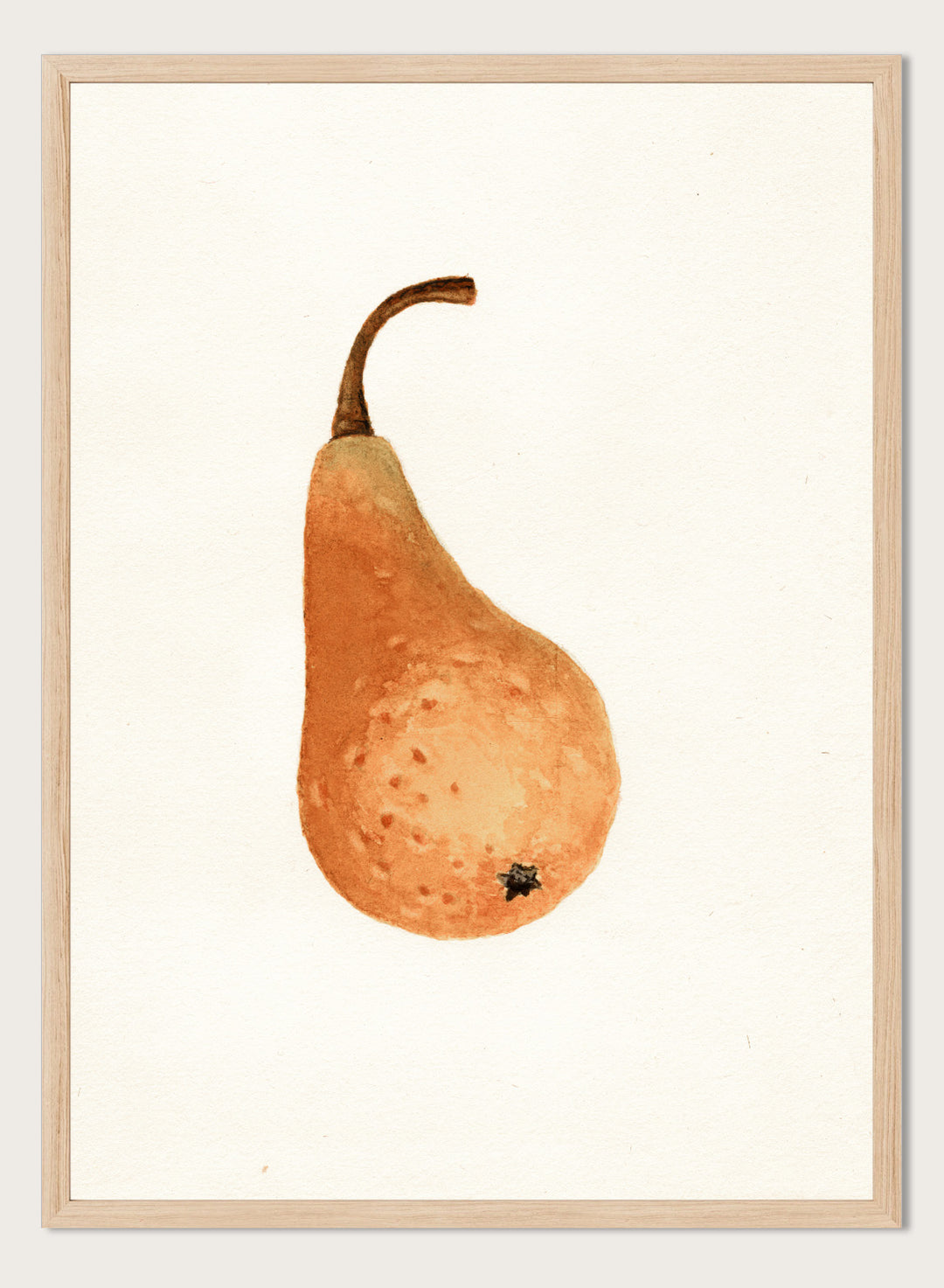 "Bosc Pear" Art Print