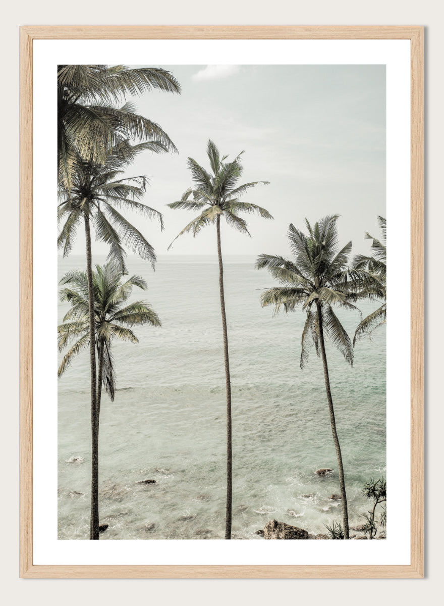 A framed photographic print of tropical coconut palm trees along a calm sea coastline. Tropical Dreams by Shot by Clint coastal photography print featuring tall palm trees, soft ocean waves, and muted tropical tones.