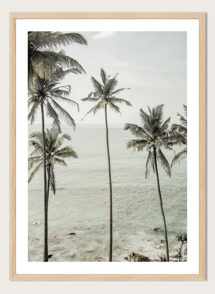 A framed photographic print of tropical coconut palm trees along a calm sea coastline. Tropical Dreams by Shot by Clint coastal photography print featuring tall palm trees, soft ocean waves, and muted tropical tones.