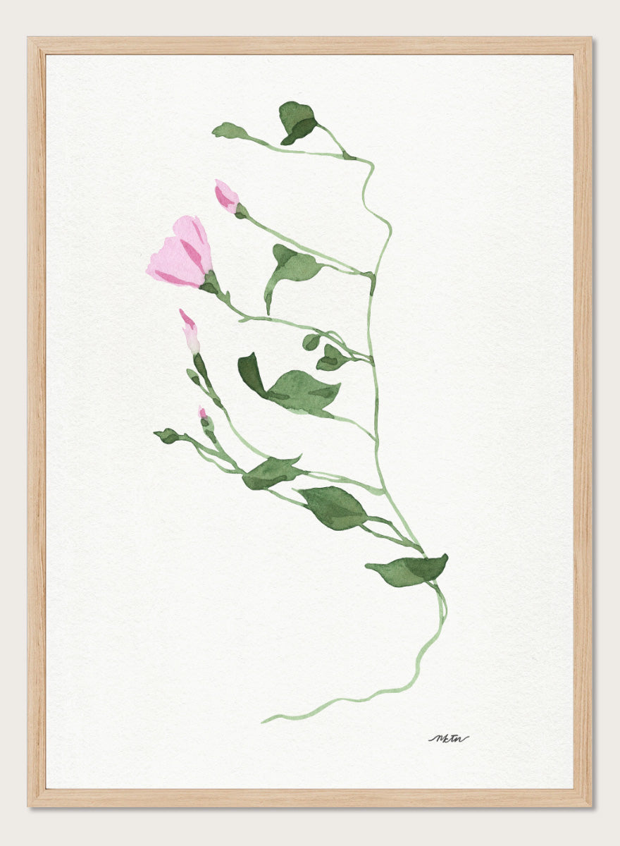 Shop Graceful Pink Stem by NKTN, a botanical wall art print poster featuring a delicate climbing vine, soft pink flowers, and minimalist watercolor style.
