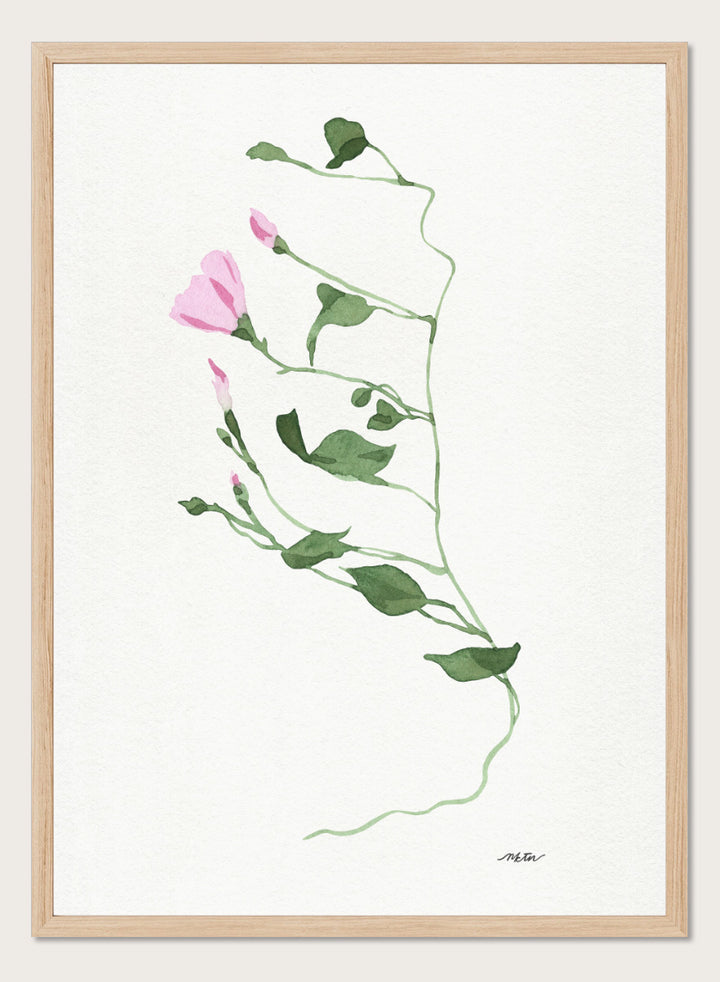 Shop Graceful Pink Stem by NKTN, a botanical wall art print poster featuring a delicate climbing vine, soft pink flowers, and minimalist watercolor style.