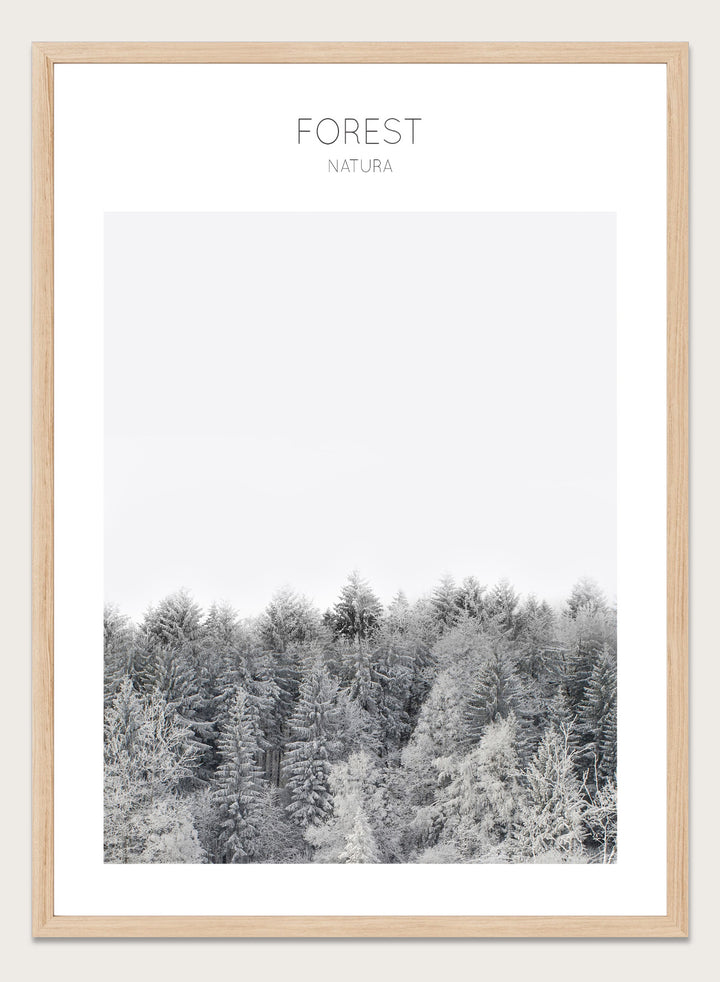 Black and white forest landscape with 'FOREST' and 'Natura' text at the top. Frosted Tranquility by The MIUUS Studio is a black and white forest photography art print and wall poster featuring snowy trees, minimalist composition, and modern neutral design.