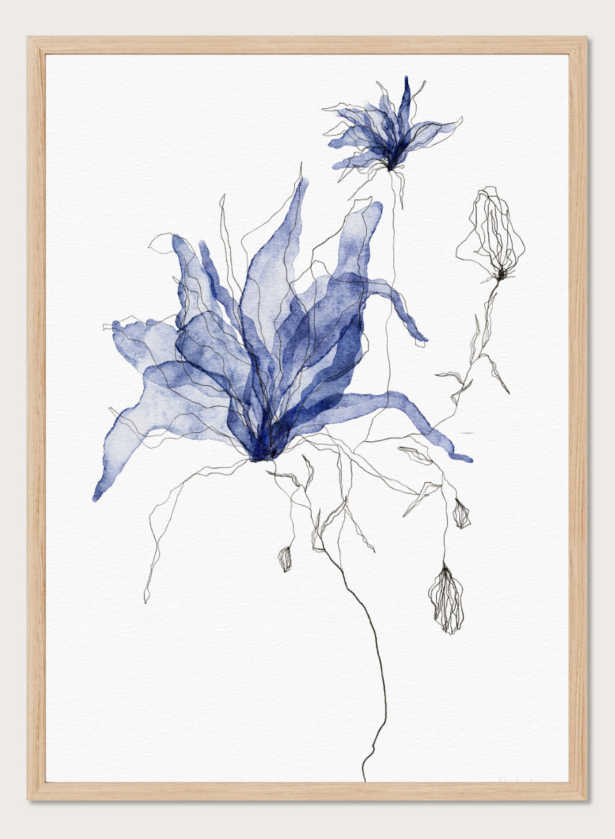 Abstract botanical art print featuring layered, semi-transparent blue flower silhouettes with fine black sketch lines on a white background. Shop Indigo Watercolor Florals by Ankie Kooi, a floral wall art print poster with blue watercolor flowers, botanical line art, buds, and white background.