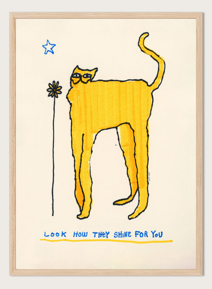 Yellow cat illustration with a flower and text on a beige background. Look How They Shine for You by Eden Kalif is a modern cat art print in yellow with text, a contemporary minimalist wall poster with playful form and expressive line work.