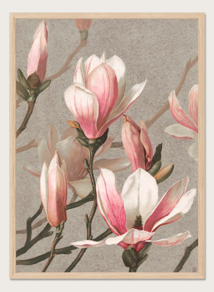 "Magnolia" Art Print
