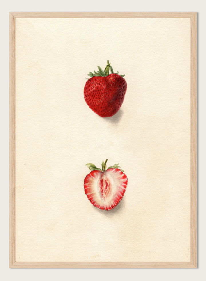"Strawberries" Art Print