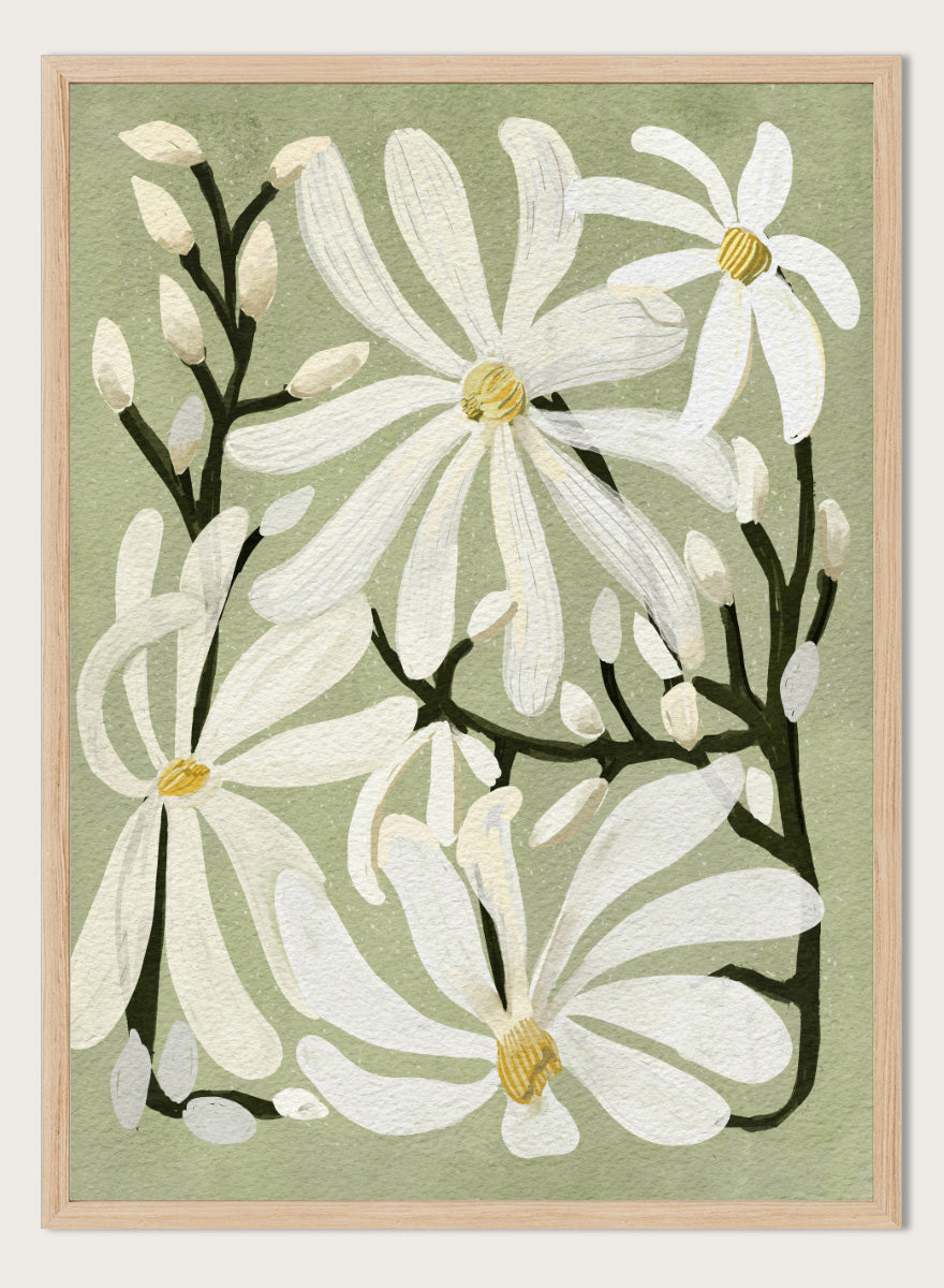 A botanical art print featuring white magnolia flowers with yellow centers and dark green stems on a muted sage green background. Shop Star Magnolia Floral Art Print by Katie O&