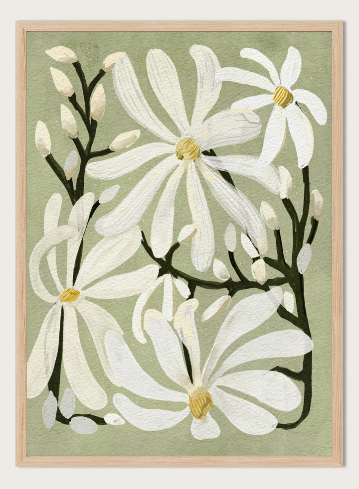 A botanical art print featuring white magnolia flowers with yellow centers and dark green stems on a muted sage green background. Shop Star Magnolia Floral Art Print by Katie O&