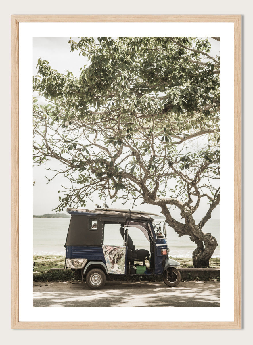 A framed photographic print featuring a small blue and white auto rickshaw parked under a large leafy tree beside a body of water. Tuk Tuk Tour by Shot by Clint travel photography print featuring a blue tuk tuk, surfboard, coastal tree, and relaxed seaside setting.