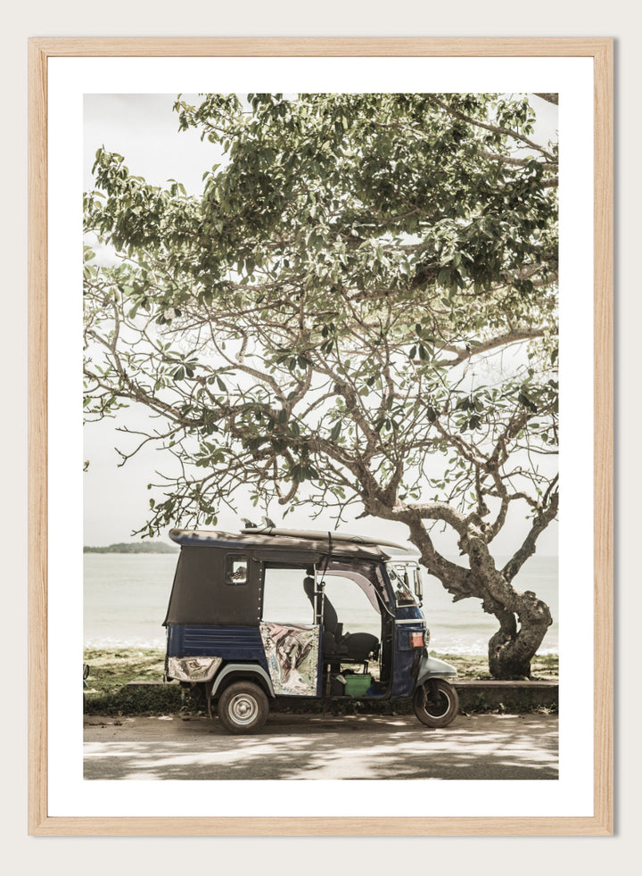 A framed photographic print featuring a small blue and white auto rickshaw parked under a large leafy tree beside a body of water. Tuk Tuk Tour by Shot by Clint travel photography print featuring a blue tuk tuk, surfboard, coastal tree, and relaxed seaside setting.