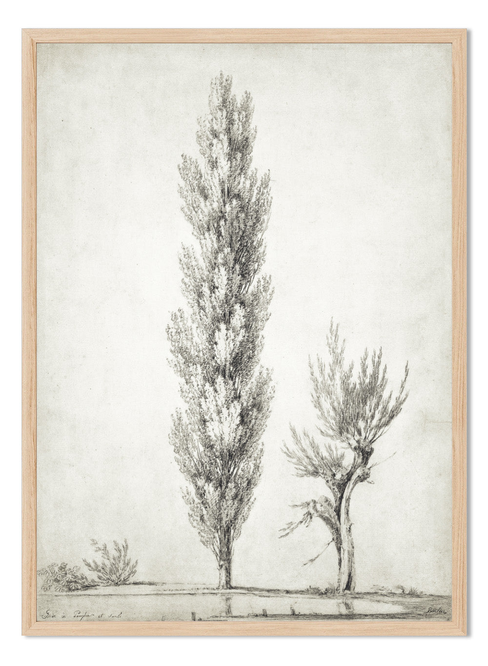 "Landscape with a Poplar and a Willow Tree" Art Print