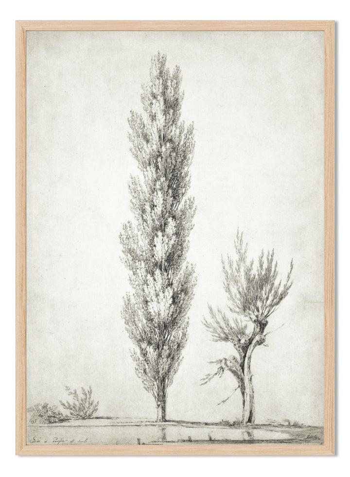 "Landscape with a Poplar and a Willow Tree" Art Print
