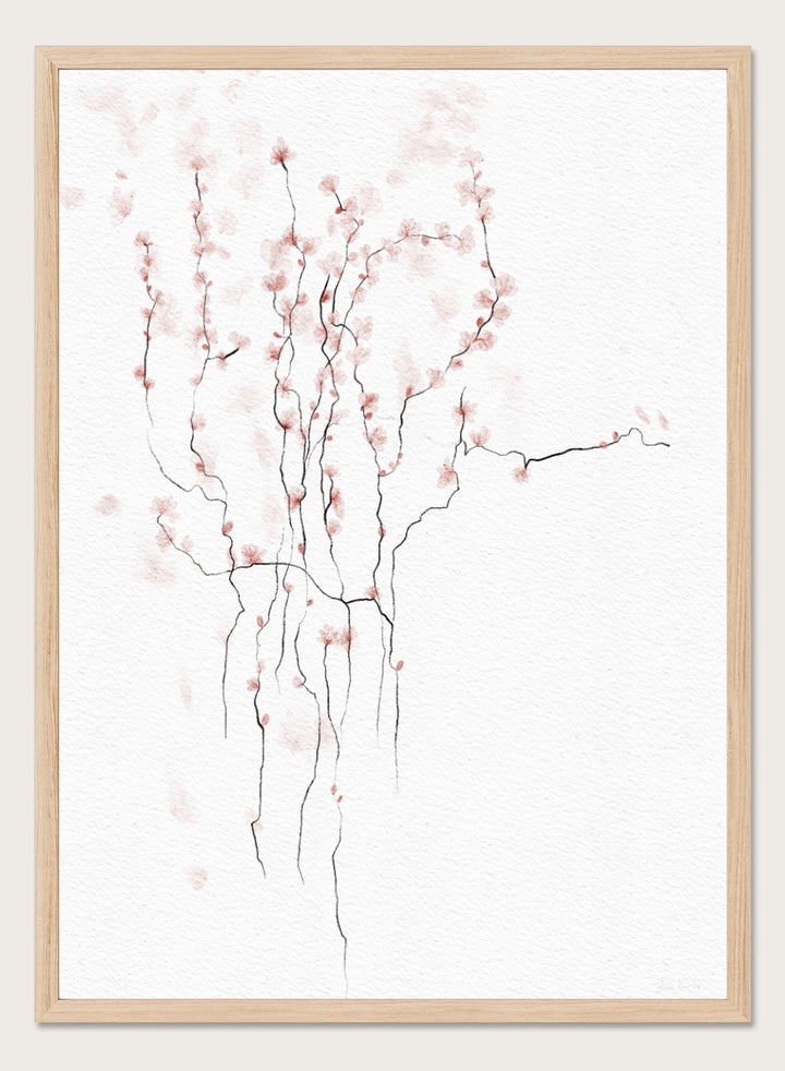 Art print of cherry blossom branches with pink flowers on a white background. Blooming Spring by Ankie Kooi art print featuring delicate pink blossoms, thin branches, watercolor florals, minimalist botanical illustration, soft nature wall poster.
