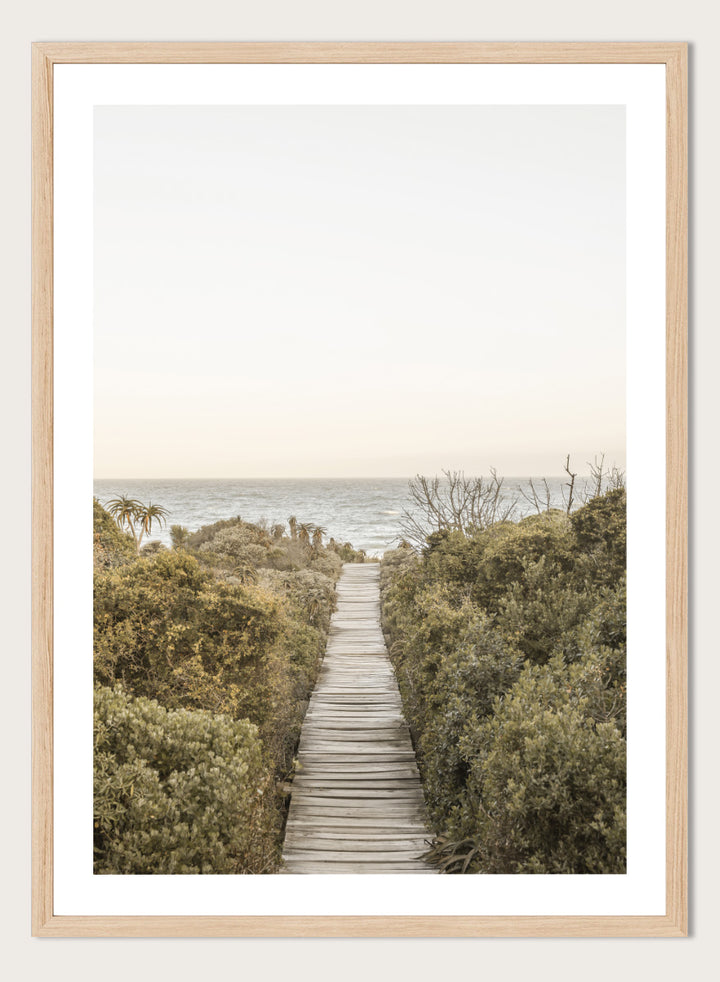 A framed photographic art print depicting a wooden boardwalk leading from dense green beach vegetation to the ocean under a pale sky. Pathway to Tranquility by Shot by Clint coastal art print featuring a wooden boardwalk, wild greenery, distant palms, and a soft ocean horizon.